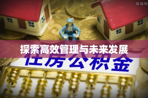 扶风探索高效管理与未来发展