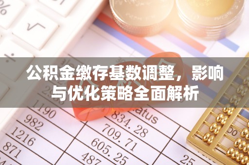 扶风公积金缴存基数调整，影响与优化策略全面解析