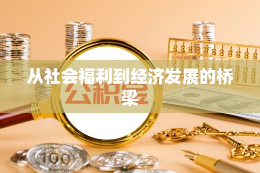 扶风从社会福利到经济发展的桥梁