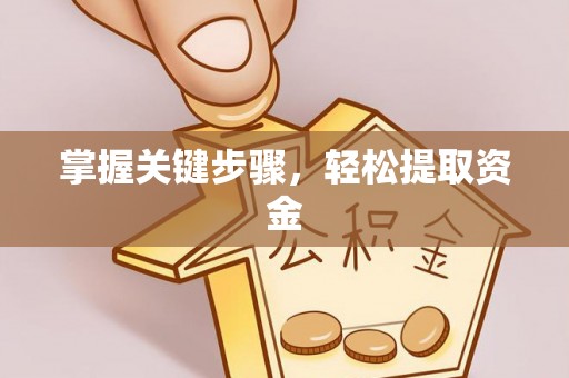 扶风掌握关键步骤，轻松提取资金
