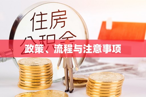 扶风政策、流程与注意事项