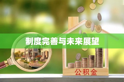 扶风制度完善与未来展望