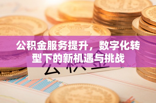 扶风公积金服务提升，数字化转型下的新机遇与挑战
