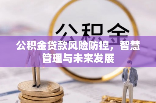 扶风公积金贷款风险防控，智慧管理与未来发展