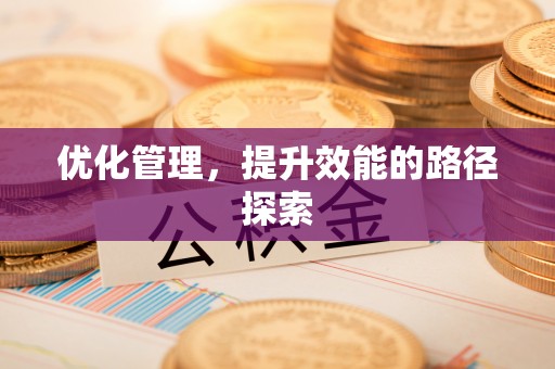 扶风优化管理，提升效能的路径探索
