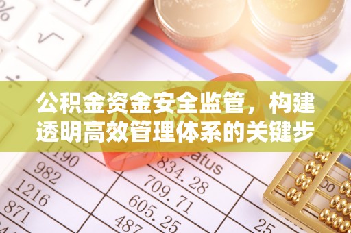 扶风公积金资金安全监管，构建透明高效管理体系的关键步骤