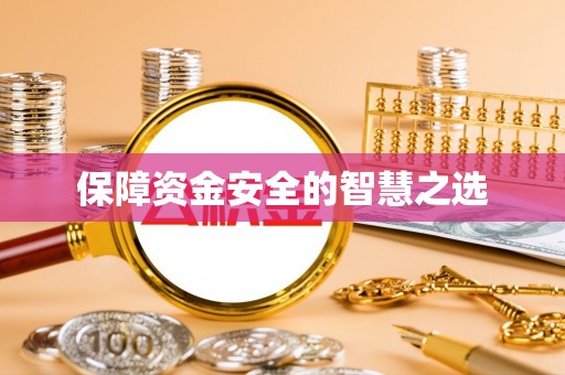 扶风保障资金安全的智慧之选