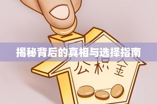 扶风揭秘背后的真相与选择指南