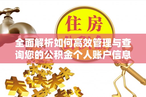 扶风全面解析如何高效管理与查询您的公积金个人账户信息