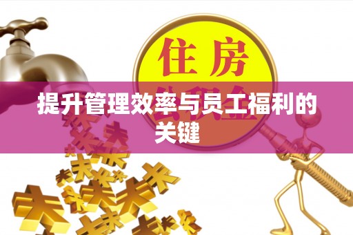 扶风提升管理效率与员工福利的关键