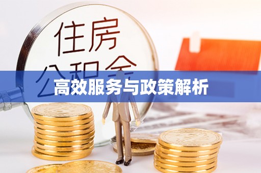 扶风高效服务与政策解析
