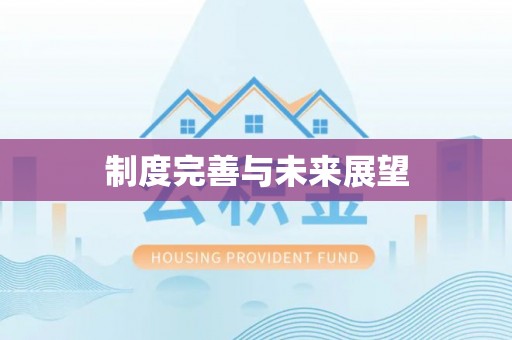 扶风制度完善与未来展望