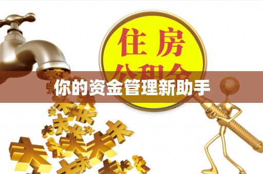 扶风你的资金管理新助手
