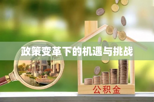 扶风政策变革下的机遇与挑战