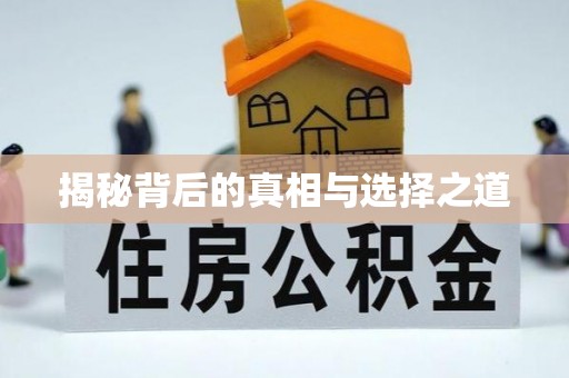 扶风揭秘背后的真相与选择之道