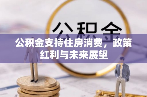 扶风公积金支持住房消费，政策红利与未来展望
