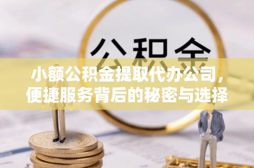 扶风小额公积金提取代办公司，便捷服务背后的秘密与选择指南