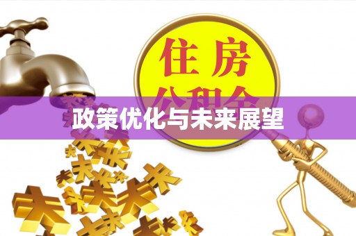扶风政策优化与未来展望