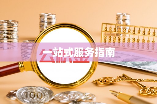 扶风一站式服务指南
