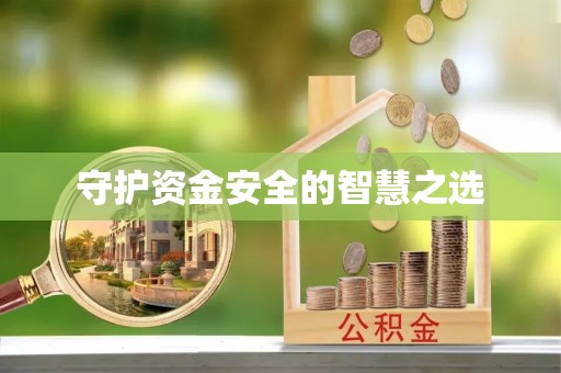 扶风守护资金安全的智慧之选