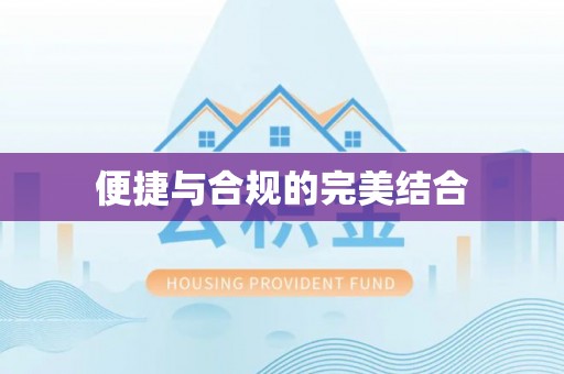 扶风便捷与合规的完美结合