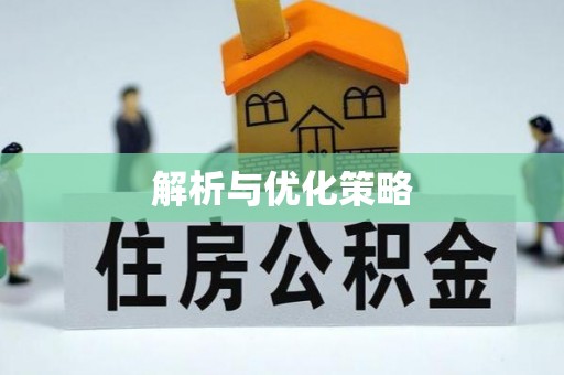扶风解析与优化策略