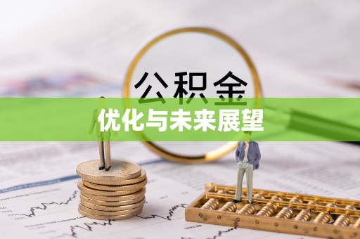 扶风优化与未来展望