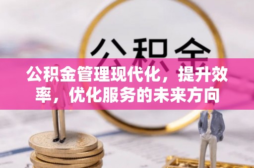 扶风公积金管理现代化，提升效率，优化服务的未来方向