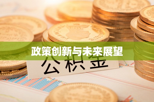 扶风政策创新与未来展望