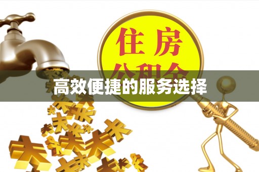 扶风高效便捷的服务选择