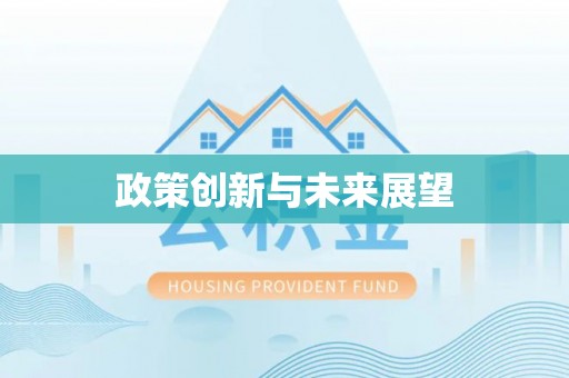扶风政策创新与未来展望