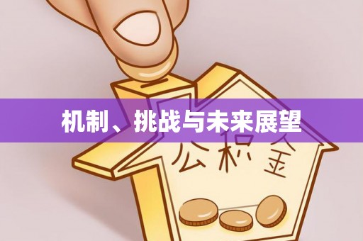 扶风机制、挑战与未来展望